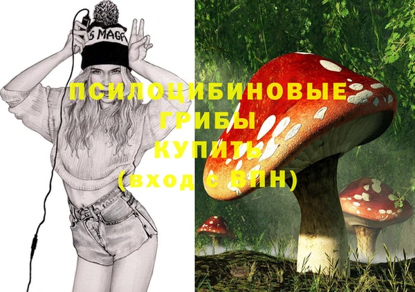 гидра Новодвинск