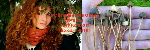бошки Нея