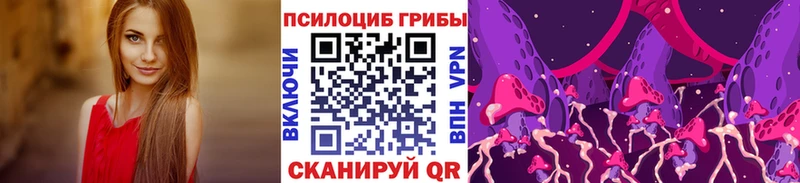 дарнет шоп  Абаза  Псилоцибиновые грибы Psilocybe 